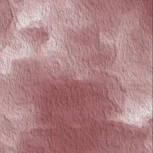 女生私密视频在线裸体网站
