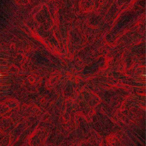 女生私密视频在线裸体网站
