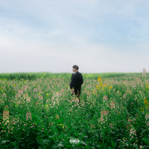 女生私密视频在线裸体网站
