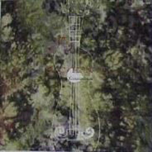 女生私密视频在线裸体网站
